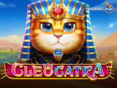 Cute and fluffy casino. Casino friday free spins.81